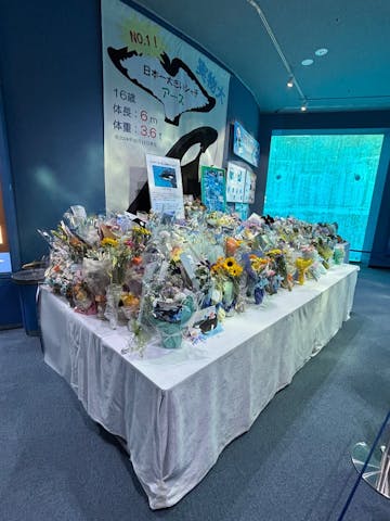 名古屋港水族館の口コミ ｜アースの献花で来園しました。た｜アソビュー！