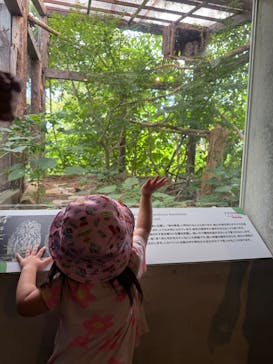 環境水族館アクアマリンふくしまに投稿された画像（2025/8/17）
