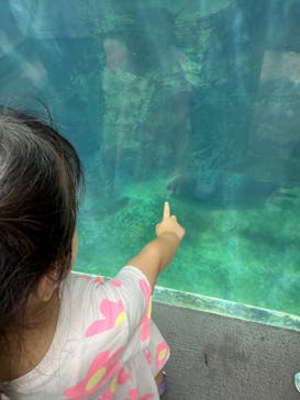 環境水族館アクアマリンふくしまに投稿された画像（2025/8/17）