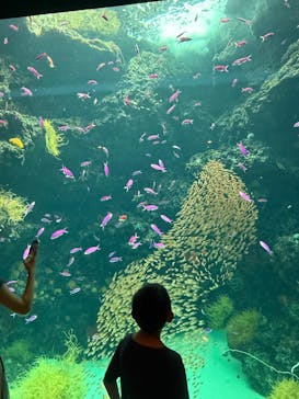 環境水族館アクアマリンふくしまに投稿された画像（2025/8/17）