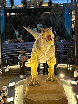 福井県立恐竜博物館に投稿された画像（2025/8/17）