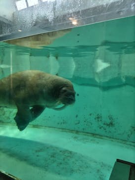 南知多ビーチランド＆南知多おもちゃ王国に投稿された画像（2025/8/17）