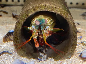 NIFREL（ニフレル）に投稿された画像（2025/8/17）