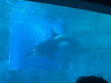 名古屋港水族館に投稿された画像（2025/8/17）