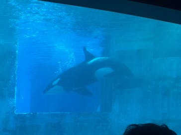 名古屋港水族館に投稿された画像（2025/8/17）