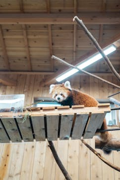 伊豆シャボテン動物公園に投稿された画像（2025/8/17）