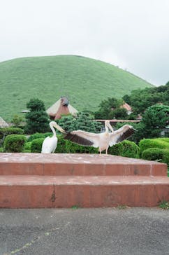 伊豆シャボテン動物公園に投稿された画像（2025/8/17）