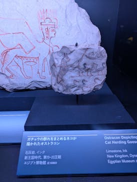 ACN ラムセス大王展 ファラオたちの黄金に投稿された画像（2025/8/17）