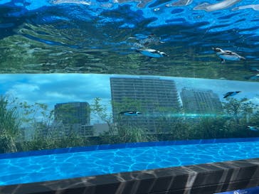 サンシャイン水族館に投稿された画像（2025/8/17）