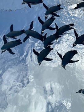 サンシャイン水族館に投稿された画像（2025/8/17）