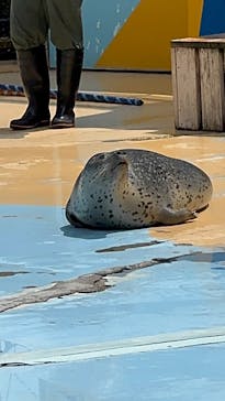 東武動物公園に投稿された画像（2025/8/17）