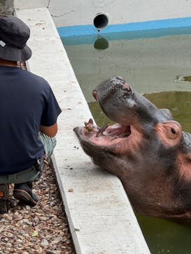 東武動物公園に投稿された画像（2025/8/17）