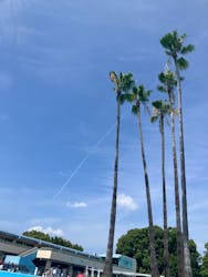 久宝寺緑地プールに投稿された画像（2025/8/17）