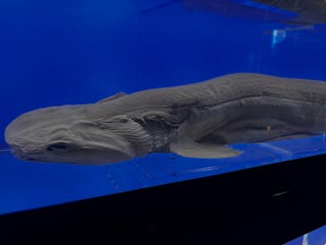 マリンワールド海の中道に投稿された画像（2025/8/17）