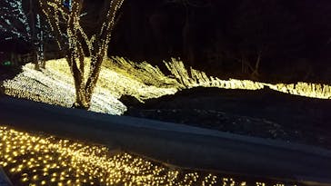 NESTA RESORT KOBE（ネスタリゾート神戸）に投稿された画像（2025/8/17）