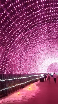 NESTA RESORT KOBE（ネスタリゾート神戸）に投稿された画像（2025/8/17）