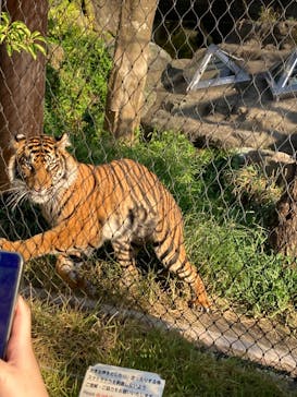 名古屋市東山動植物園に投稿された画像（2025/8/17）