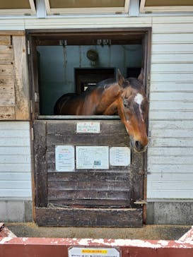 牧歌の里に投稿された画像（2025/8/17）