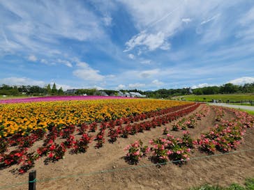 牧歌の里に投稿された画像（2025/8/17）