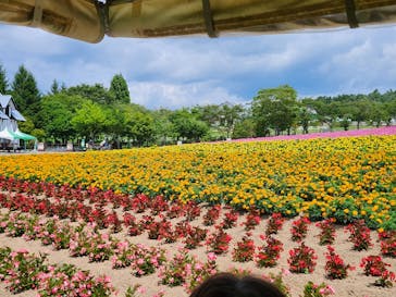 牧歌の里に投稿された画像（2025/8/17）