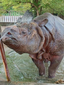 名古屋市東山動植物園に投稿された画像（2025/8/17）