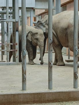 名古屋市東山動植物園に投稿された画像（2025/8/17）
