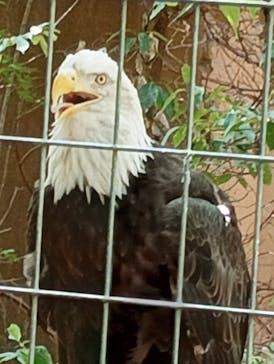 名古屋市東山動植物園に投稿された画像（2025/8/17）