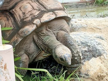 名古屋市東山動植物園に投稿された画像（2025/8/17）
