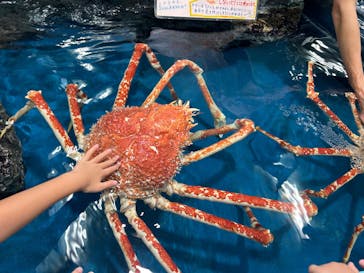 竹島水族館に投稿された画像（2025/8/17）