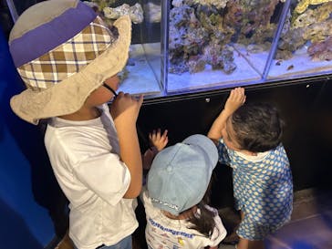 竹島水族館に投稿された画像（2025/8/17）