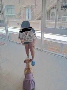 いぬカフェRio 原宿竹下通り店に投稿された画像（2025/8/17）