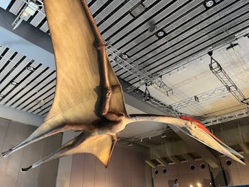 巨大恐竜展2025に投稿された画像（2025/8/17）