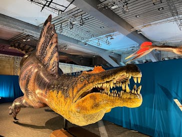 巨大恐竜展2025に投稿された画像（2025/8/17）
