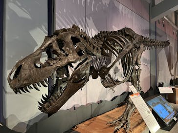 巨大恐竜展2025に投稿された画像（2025/8/17）