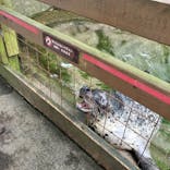 那須どうぶつ王国に投稿された画像（2025/8/17）