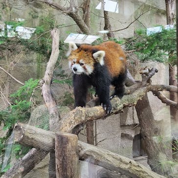 那須どうぶつ王国に投稿された画像（2025/8/17）