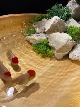 錦鯉・金魚アクアリウム in ときメッセに投稿された画像（2025/8/17）