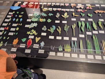 レオ・レオーニの絵本づくり展に投稿された画像（2025/8/17）