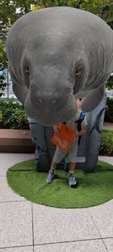 君も博士になれる展 in東京ミッドタウン八重洲に投稿された画像（2025/8/17）