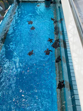 名古屋港水族館に投稿された画像（2025/8/17）