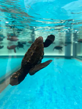 名古屋港水族館に投稿された画像（2025/8/17）