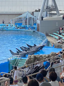 名古屋港水族館に投稿された画像（2025/8/17）