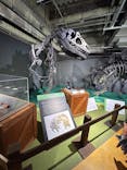 大恐竜展に投稿された画像（2025/8/17）