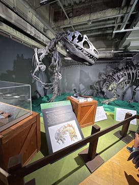 大恐竜展に投稿された画像（2025/8/17）