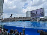 名古屋港水族館に投稿された画像（2025/8/17）
