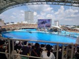 名古屋港水族館に投稿された画像（2025/8/17）