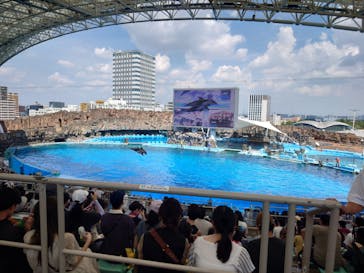 名古屋港水族館に投稿された画像（2025/8/17）