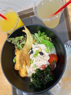 福井県立恐竜博物館に投稿された画像（2025/8/17）