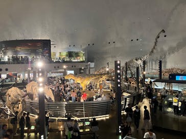 福井県立恐竜博物館に投稿された画像（2025/8/17）