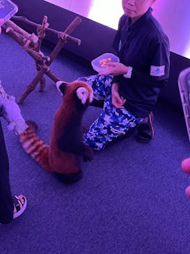 横浜・八景島シーパラダイスに投稿された画像（2025/8/17）